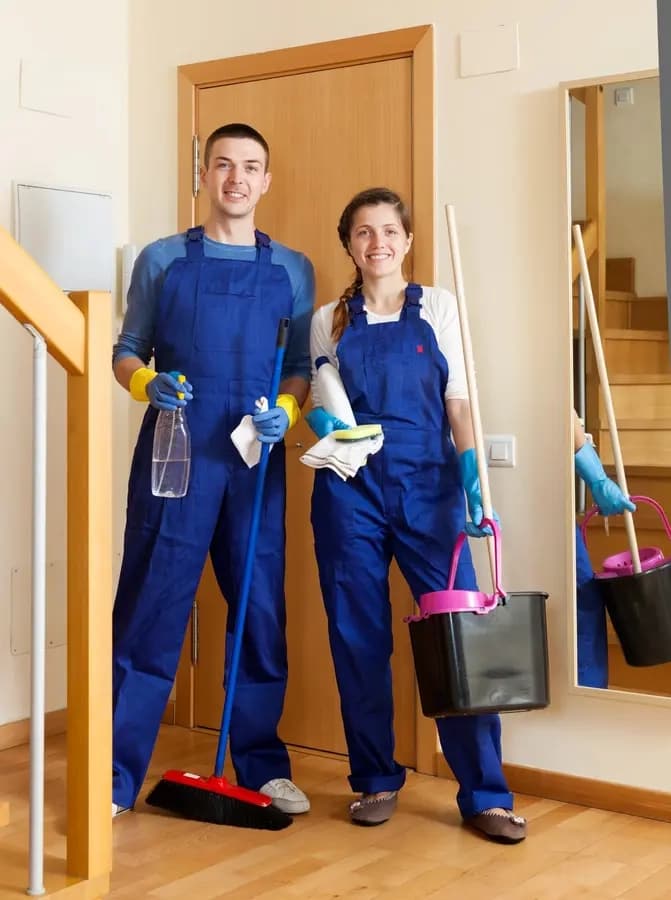 Professional cleaner